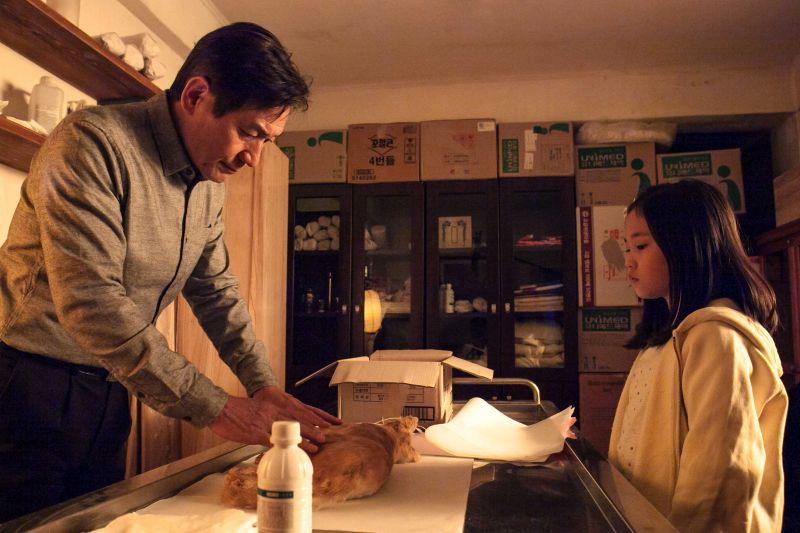 境遇不同,心意一樣《紙花》